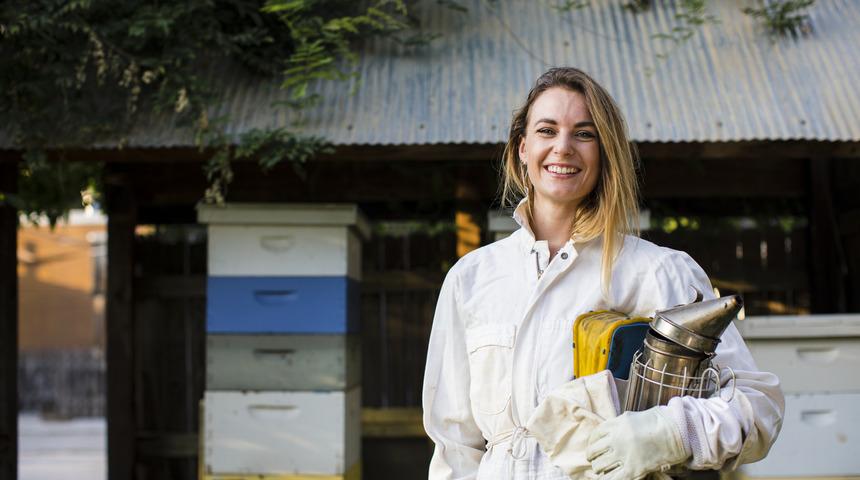 Arıcılık belgesi nasıl alınır? Arıcılık kayıt sistemi belgesi (sertifikası) ne işe yarar?