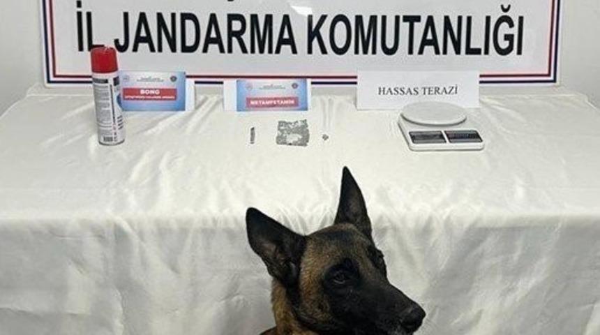 Jandarmanın uyuşturucu ile mücadelesinde 2 şahıs tutuklandı