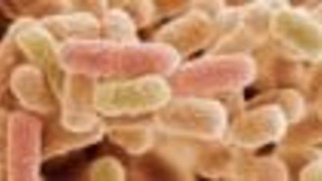 Un ne zaman tehlikeli olur?