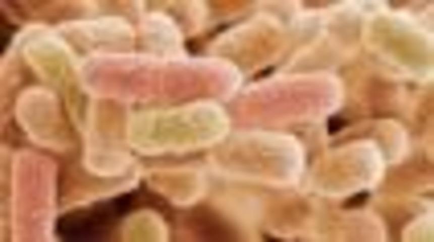 Un ne zaman tehlikeli olur?