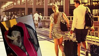 'Her şey dahil' de bu kadar da değil... Neredeyse oteli götüreceklerdi! Rus turistlerin bavulundan çıkanlar şoke etti