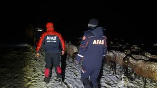 Ağrı'da merada kara yakalanan 3 bin küçükbaş hayvan ve çobanlar kurtarıldı