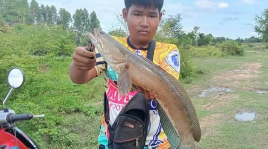 Balık tutmaya gitmişti! Hayatının kabusunu yaşadı... Zıpkınla yanlışlıkla iki kaşının ortasından kendisini vurdu