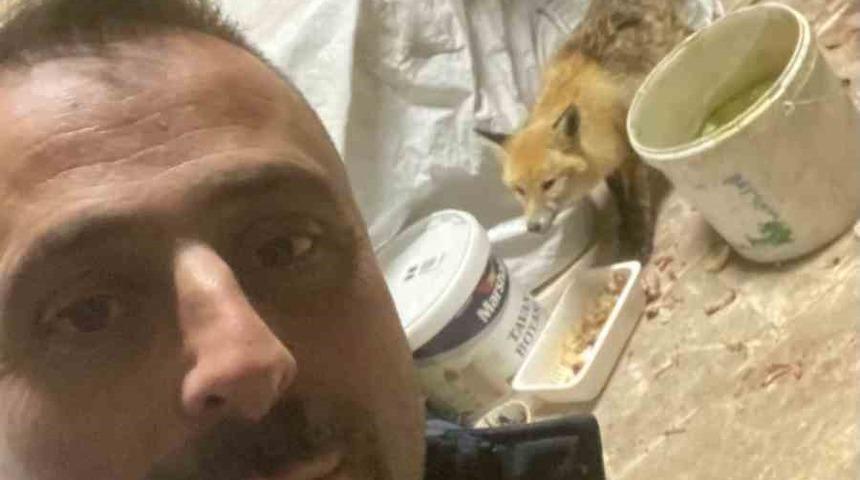 Bah&ccedil;eye gelen tilkiyi elleriyle besledi