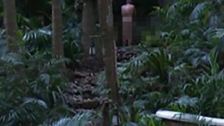 Herkesi şaşkına çeviren olay! Eski siyasi isim ormanda çırılçıplak soyunarak duş aldı... Yetmedi hayvan penisi yedi