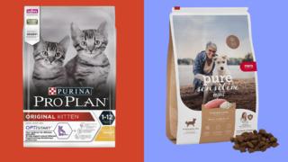 Patili dostunuzun yüzünü güldürecek kedi ve köpek mamaları Gülümseten Kasım'a özel indirimde