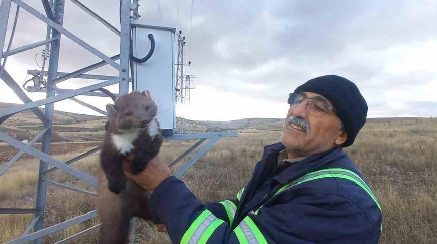 Bu kez trafoya sansar girdi