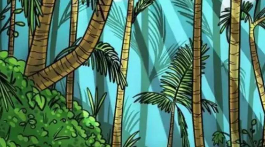 Sosyal medyada gündem oldu! Resimdeki kaplanı sadece aşırı zekiler görebiliyor