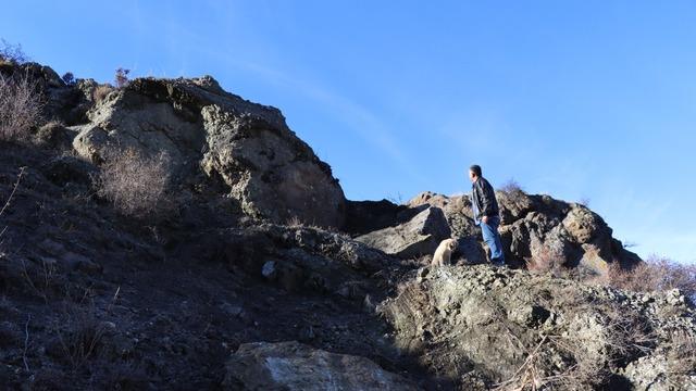Muhtar ve ailesi, gece yarısı büyük bir gürültü ile uyandı! Deprem olduğunu sanarak dışarı koştular ve...