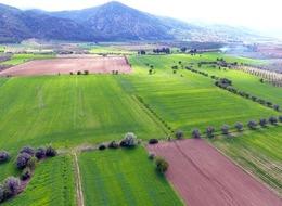 Bu arsalarda KDV yok! Vergiden muaf tutuldular: Anadolu’da 500 bin, İstanbul’da 1,5 milyon lira... Bugün son gün