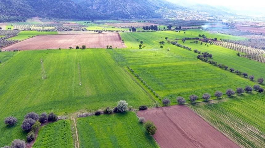 Bu arsalarda KDV yok! Vergiden muaf tutuldular: Anadolu’da 500 bin, İstanbul’da 1,5 milyon lira... Bugün son gün