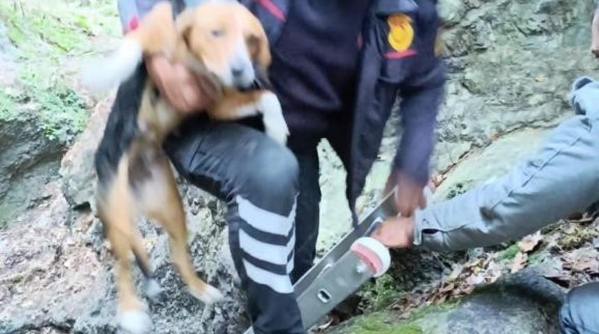 Hatay’da kuyuya düşen köpeği, itfaiye kurtardı