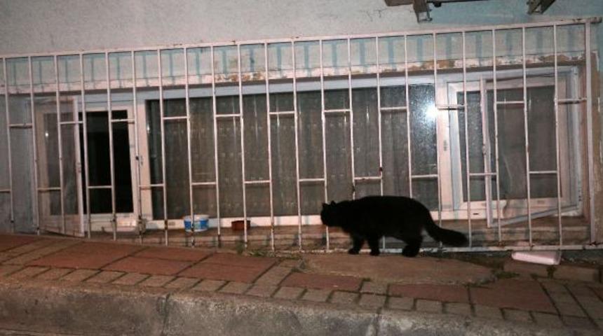 YouTube fenomeni Cem Korkmaz intihar etti (geniş haber)