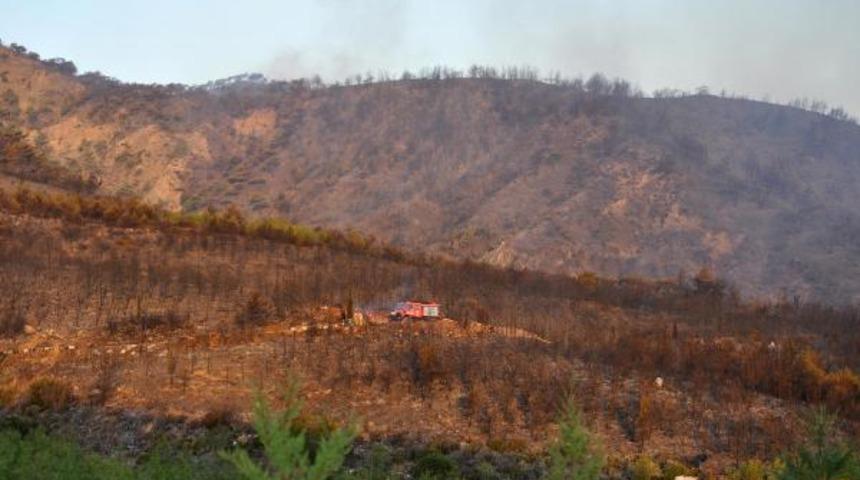 Dat&ccedil;a'daki orman yangında kundaklama ş&uuml;phesi