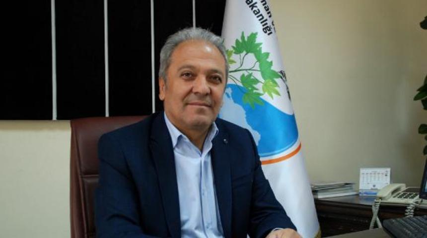 Yabancı avcıların g&ouml;zdesi; Demirkazık