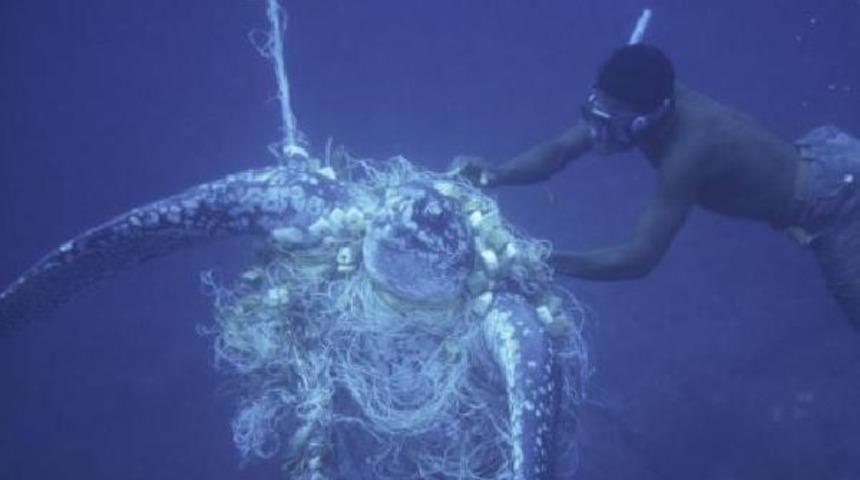 Karayipler&rsquo;de plastik kirliliği inanılmaz boyutlara ulaştı