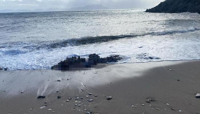Bodrum’da korkunç manzara! Denizde ve sahilde iki cansız beden bulundu
