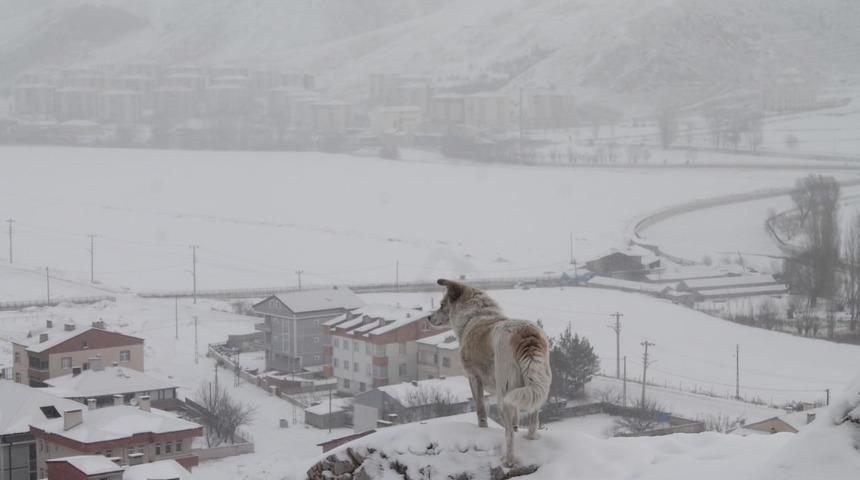 Bayburt’un yüksek kesimlerinde kar yağışı etkili oldu