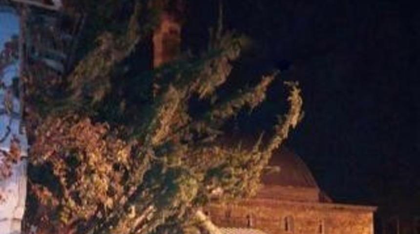 Çankırı’da şiddetli fırtına ağacı kökünden söktü