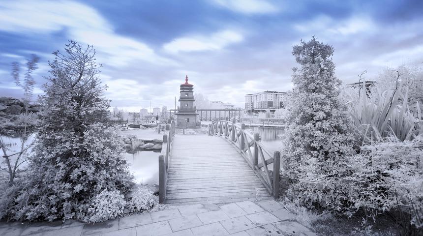 Atatürk Arboretumu’na nasıl gidilir? Atatürk Arboretumu nerede?