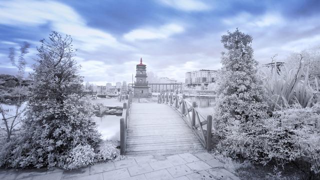 Atatürk Arboretumu’na nasıl gidilir? Atatürk Arboretumu nerede?