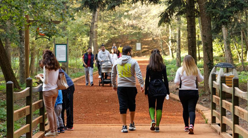 Belgrad Ormanı'na nasıl gidilir? Belgrad Ormanı'na otobüsle nasıl gidilir?