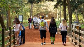 Belgrad Ormanı'na nasıl gidilir? Belgrad Ormanı'na otobüsle nasıl gidilir?