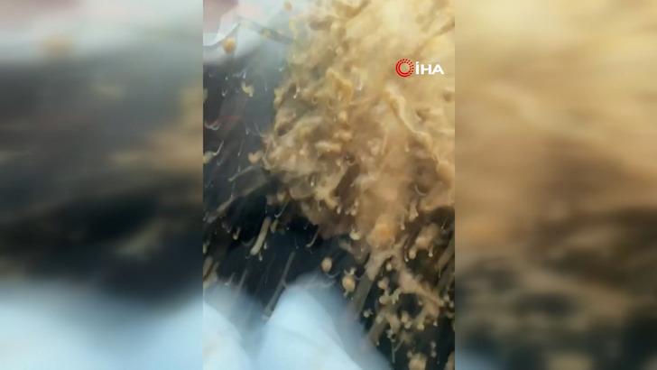 O sırada arabanın camı açıktı... Görüntüler dehşete düşürdü! Denizle yol birleşti 'Kimse geri gelmesin' G4