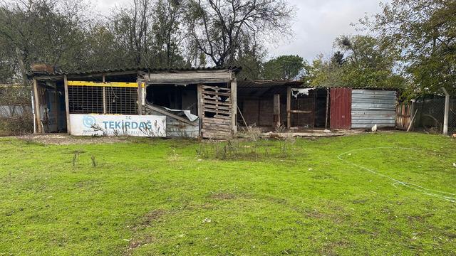 Bağ evinde ele geçirildi! Kilolarca... Gözaltına alındı