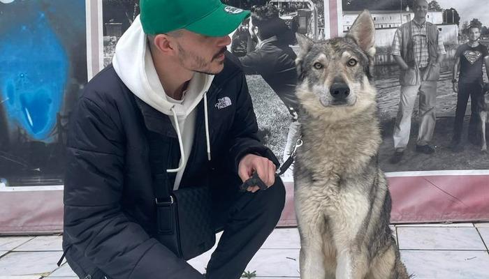 Görüntüler gündem oldu! ‘Başakşehir’deki aç kurtlar’ Çekoslovak kurt köpeği çıktı