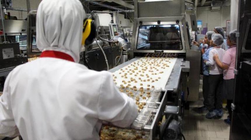 Bolu'da ilkokul &ouml;ğrencileri, &ccedil;ikolata fabrikasını gezdi