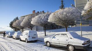 Bitlis'te kar yağışı etkili oldu