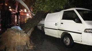 Muğla'da etkili olan sağanakta seyir halindeki minibüsün üzerine ağaç devrildi