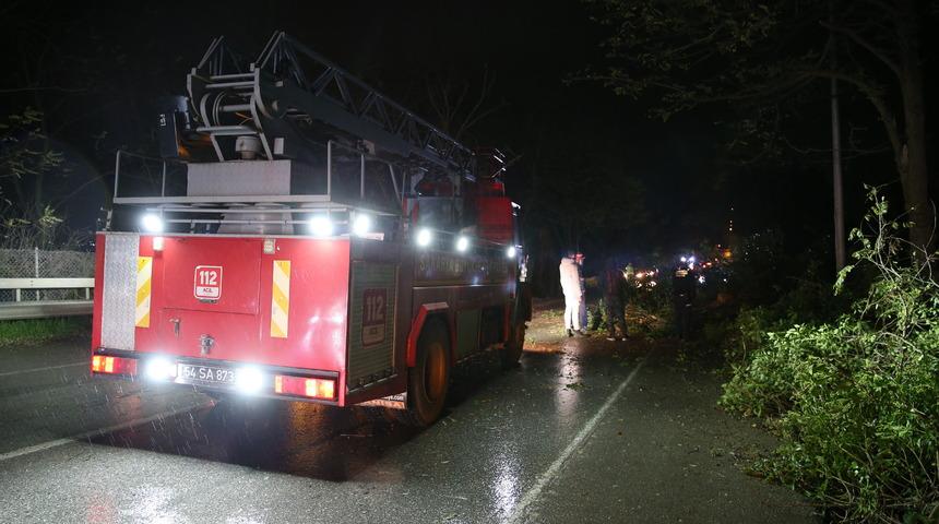 Sakarya'da şiddetli rüzgar nedeniyle yola devrilen ağaç ulaşımı aksattı
