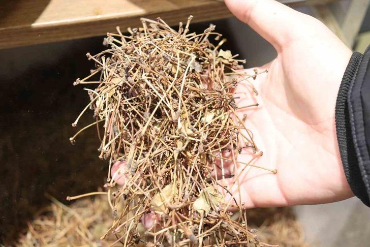 'Herkes bunu çöpe atıyor! Faydasını duyanlar şaşkına dönüyor' Kimsenin aklına gelmezdi! Etkilerini tek tek sıraladı G4