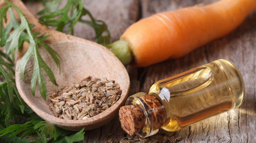 Havuç tohumu yağı ciltte ne işe yarar? Havuç tohumu yağı ciltte nasıl kullanılır?