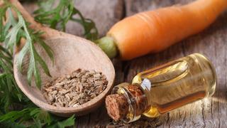 Havuç tohumu yağı ciltte ne işe yarar? Havuç tohumu yağı ciltte nasıl kullanılır?