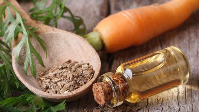 Havuç tohumu yağı ciltte ne işe yarar? Havuç tohumu yağı ciltte nasıl kullanılır?