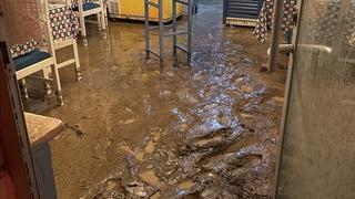 Bursa'nın turistik bölgelerinden Tirilye'de sağanak nedeniyle araçlar sürüklendi, iş yerlerini su bastı