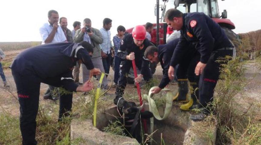 D&uuml;şt&uuml;ğ&uuml; kuyudan kurtarılan ineğini &ouml;pt&uuml;