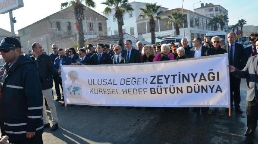 Ayvalık'ta zeytin dolu 3 g&uuml;n