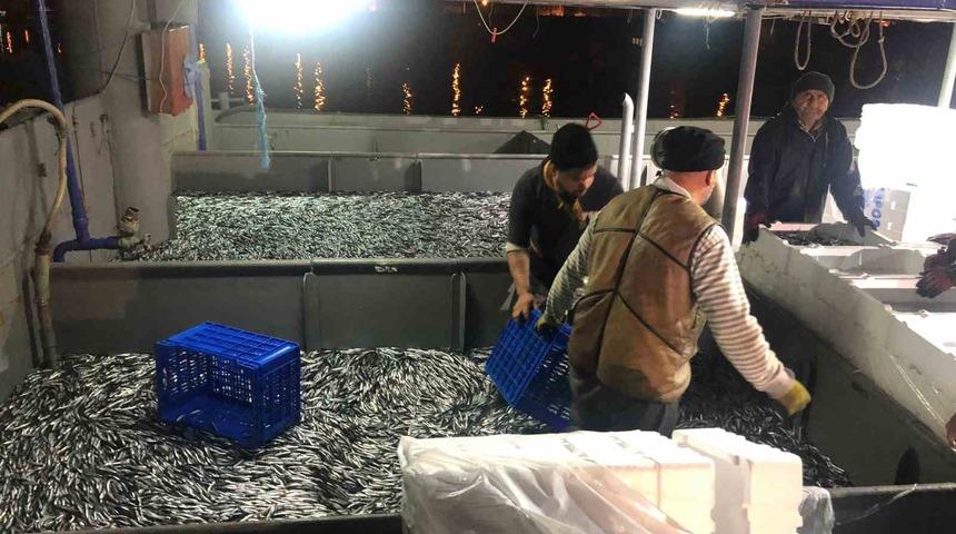Fırtınanın ardından tezgahlar hamsiyle coştu