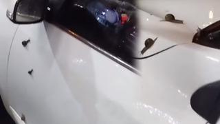 SON DAKİKA | İstanbul'da yağmur sonrası ilginç olay! Esenyurt'ta kaydedildi, sosyal medyada gündem oldu: Aracı istila ettiler