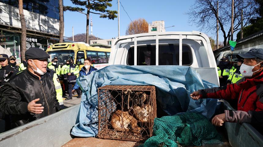 Köpek eti tartışmaları Güney Kore'yi karıştırdı! 'Savaşacağız' sloganları attılar