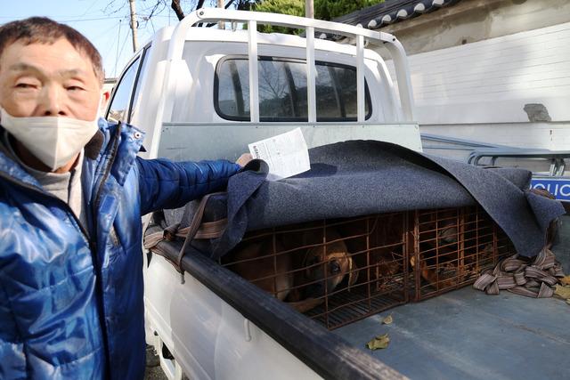 2023-11-30T070226Z_1675618584_RC2GN4AK2THP_RTRMADP_3_SOUTHKOREA-DOGS