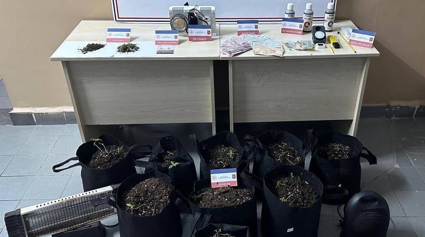 Samsun'da evinde iklimlendirme sistemi kurarak saksılarda kenevir yetiştiren kişi yakalandı