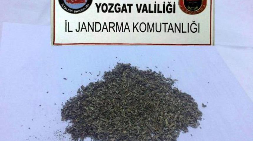 Yol kontrol&uuml;nde durdurulan s&uuml;r&uuml;c&uuml;n&uuml;n &uuml;st&uuml;nden bonzai &ccedil;ıktı
