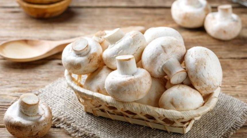 Mantarı bu şekilde tüketmek D vitamini miktarını 25 kat artırıyor! Araştırma sonucu ortaya çıktı