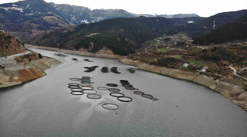 Gümüşhane’nin karlı dağlarının arasından dünyaya balık ihracatı