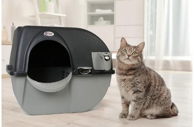 Kedi kumu temizlemekten bıkanlar için en iyi otomatik kedi tuvaletleri